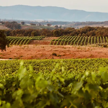 I Puntoni Séjour à la ferme Magliano in Toscana