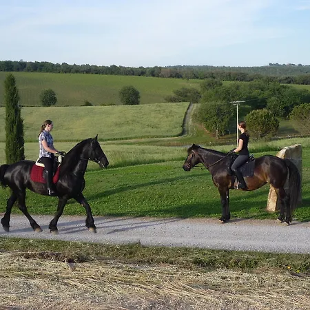 Farm stay I Puntoni