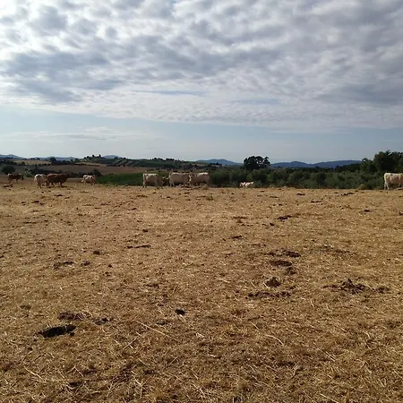 Farm stay I Puntoni Magliano in Toscana