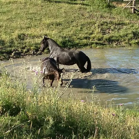 Séjour à la ferme I Puntoni Magliano in Toscana