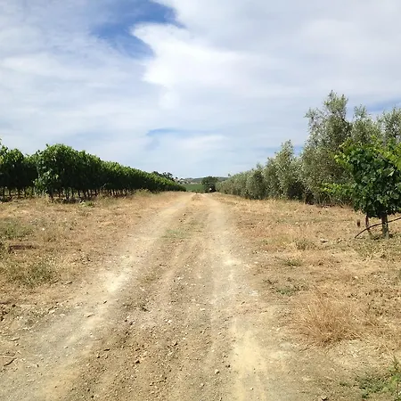 I Puntoni Magliano in Toscana