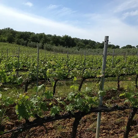 I Puntoni Magliano in Toscana